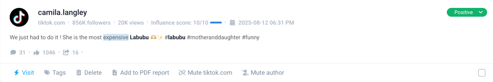 Sentiment analysis tools: Brand24 for customer feedback analysis.