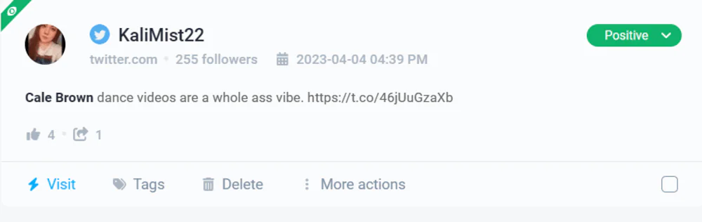 TikTok analytics: Positive mention detected by Brand24