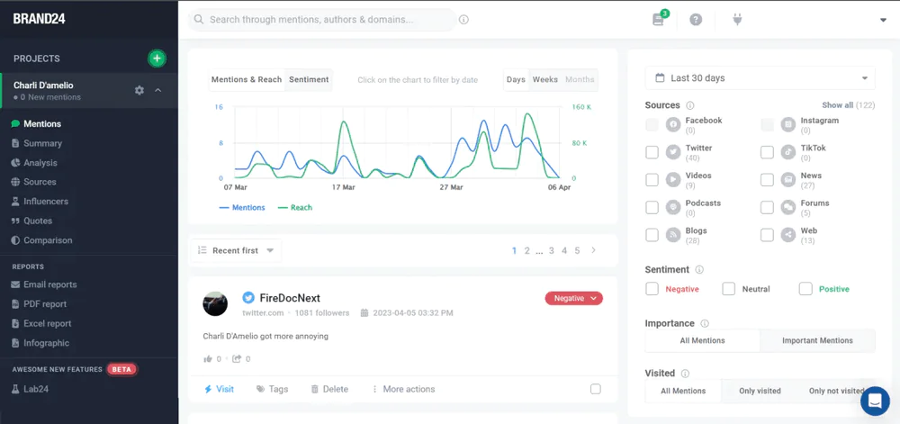 Charli D'Amelio's media monitoring project with Brand24.