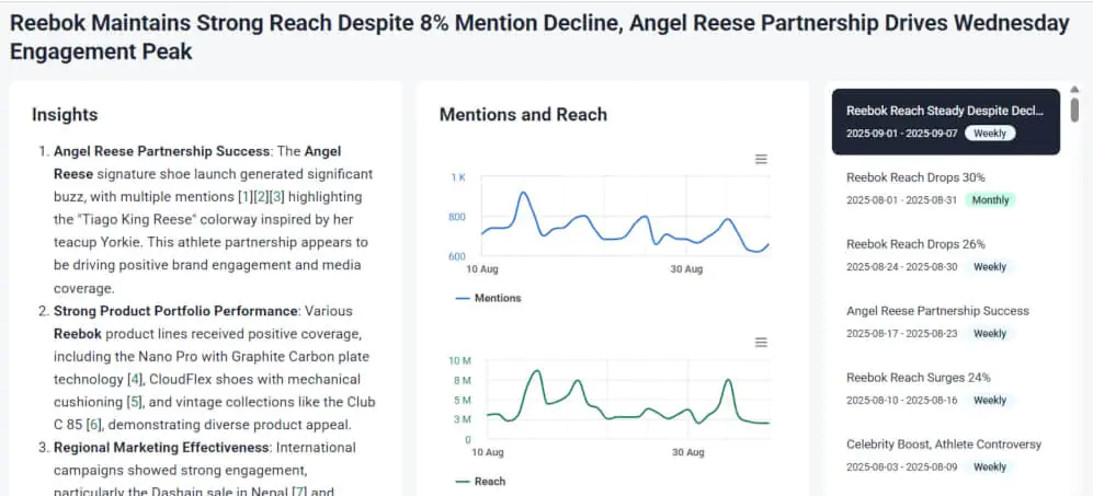 AI-powered summary of a monitoring project inside Brand24