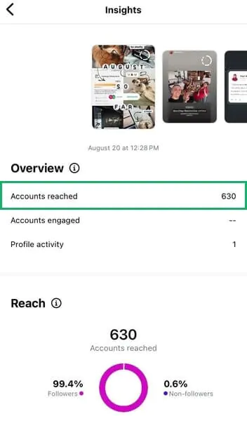 Instagram Story Insights