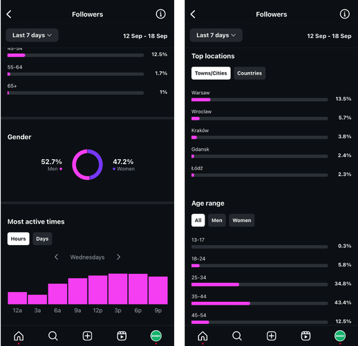 Dados demográficos do público no exemplo de análise do Instagram.