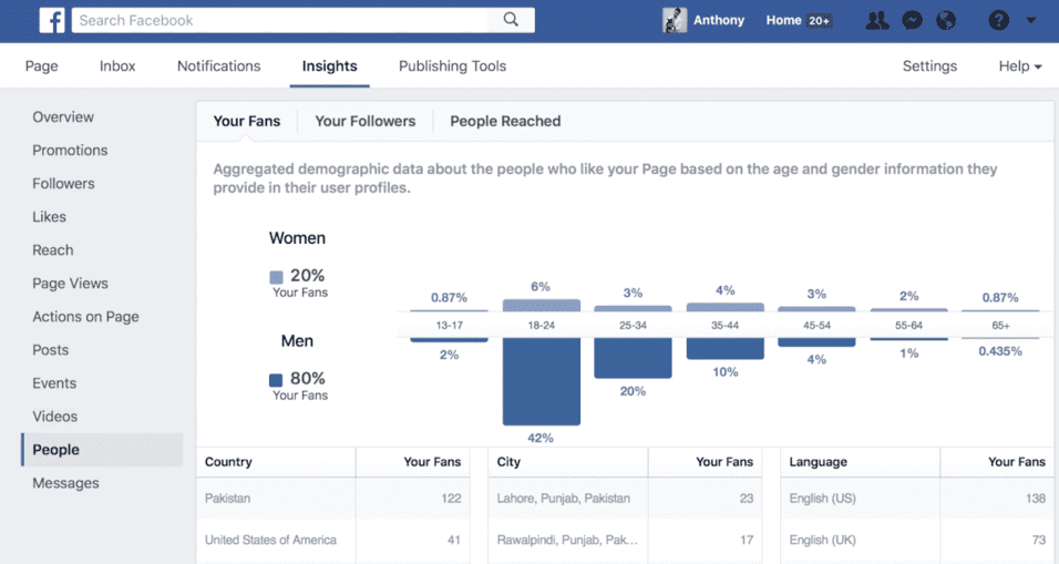 Facebook Audience Insight - pople tab