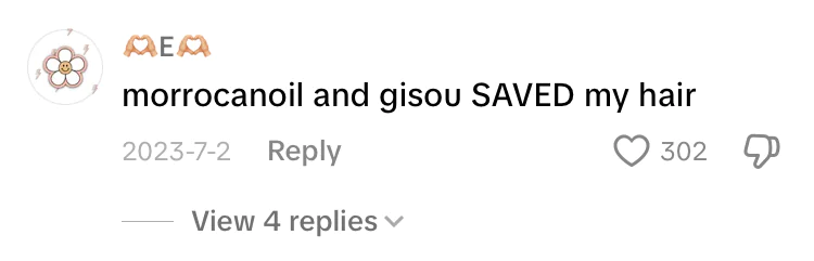 Untagged Gisou mention dans la section commentaires sur TikTok