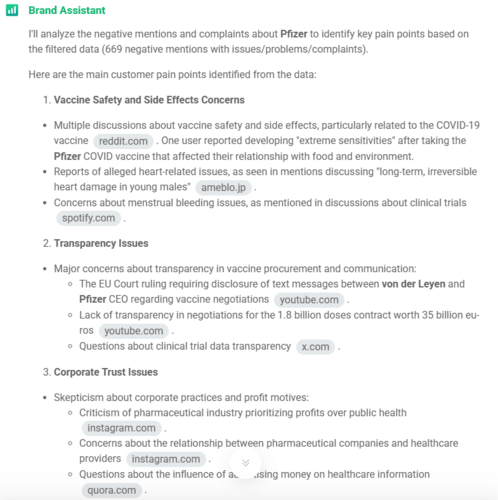 Brand Assistant - identification of key pain points