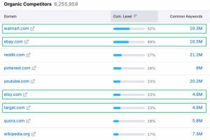 5 Biggest Amazon Competitors in 2026 [Data-Backed Report] | Brand24