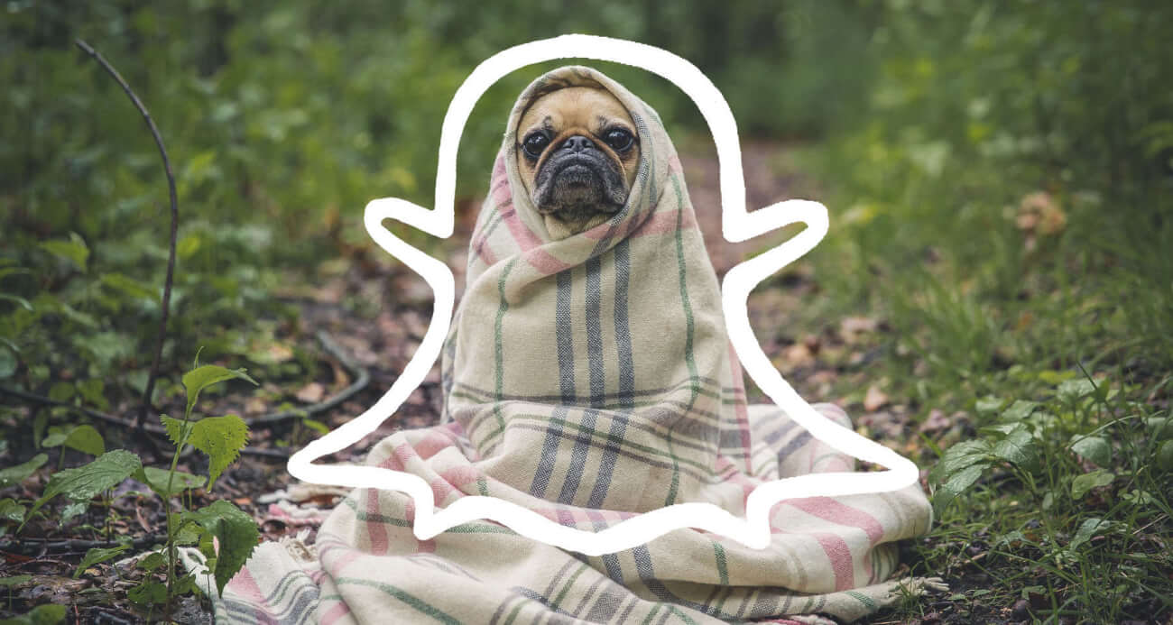 Snapchat e as tendências de mídia social de 2016