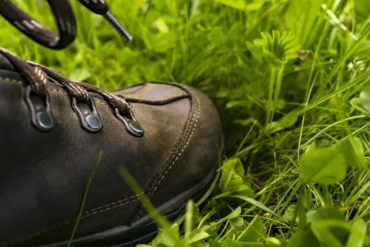 hiking shoe on a grass