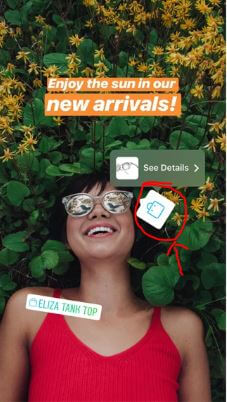 screenshot from an Instagram Story with an Instagram shopping bag sticker