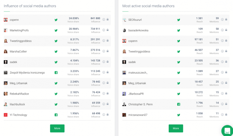 print screen of Brand24 tool showing the most popular social media authors