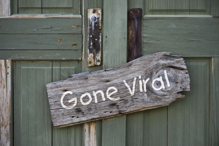 words gone viral written on a wooden desk that is hanged on a wooden green door