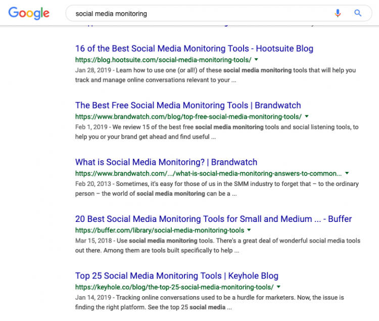 print screen of Google search results showing the companies that are your potential competitors you should analyse further