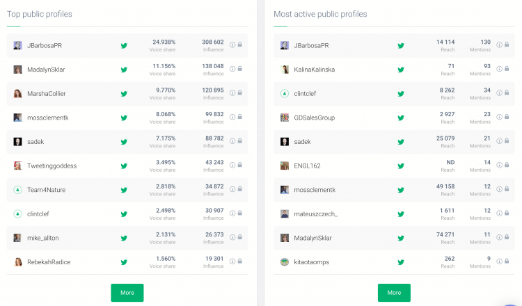 print screen showing the list with the most influential public profiles 