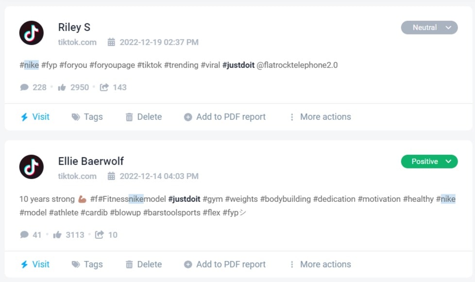 TikTok mentions detected by the Brand24 tool