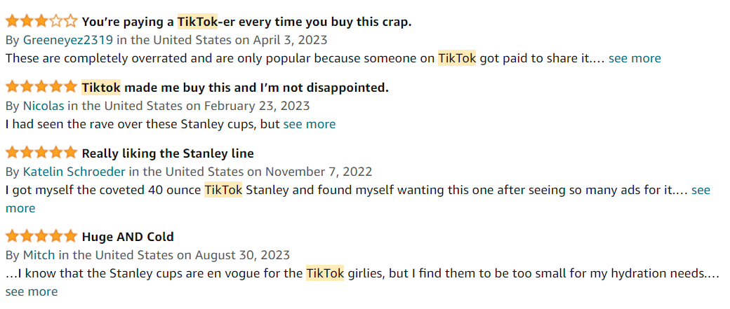Amazon reviews: Stanley cup trending on TikTok