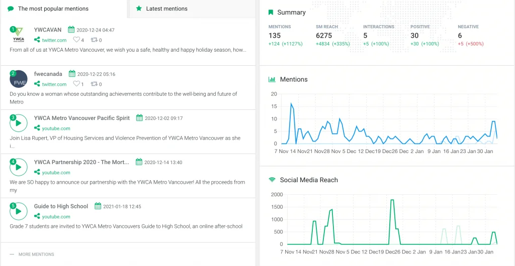 print screen showing data from media monitoring tool